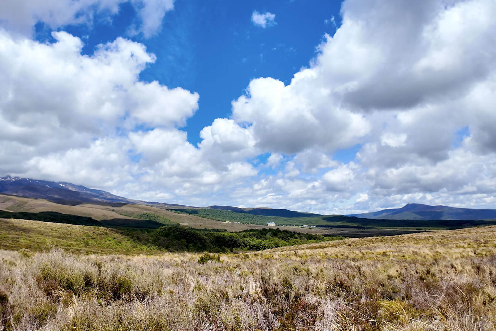 View before Whakapapa village